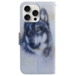 Coloured Drawing Flip Leather Phone Case, For iPhone 16 Pro Max, For iPhone 16 Pro - Image 4