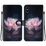 Crystal Texture Colored Drawing Leather Phone Case, For iPhone XS / X