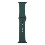 For Apple Watch Series 7 41mm / 6 & SE & 5 & 4 40mm / 3 & 2 & 1 38mm Silicone Watch Band - Image 5