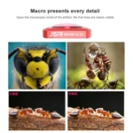 JSR 5 in 1 CR Super Wide Angle Lens 12.5X Macro Lens + CPL Lens + Star + ND16 Lens Filter Set for DJI OSMO Pocket - Image 9