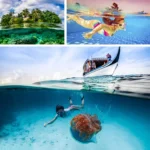 RUIGPRO Floating Hand Grip Dome Port Underwater Diving Camera Lens Transparent Cover for DJI Osmo Action - Image 11