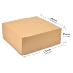 For Insta360 Ace / Ace Pro STARTRC Portable PU Storage Box Case - Image 9