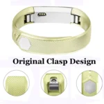 Metallic Strap