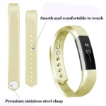 Metallic Strap - Image 2