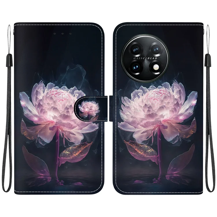 Crystal Texture Colored Drawing Leather Phone Case, For OnePlus 11
