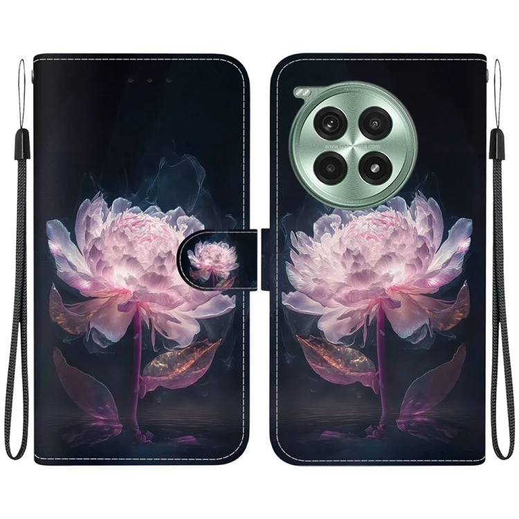 Crystal Texture Colored Drawing Leather Phone Case, For OnePlus Ace 3 Pro