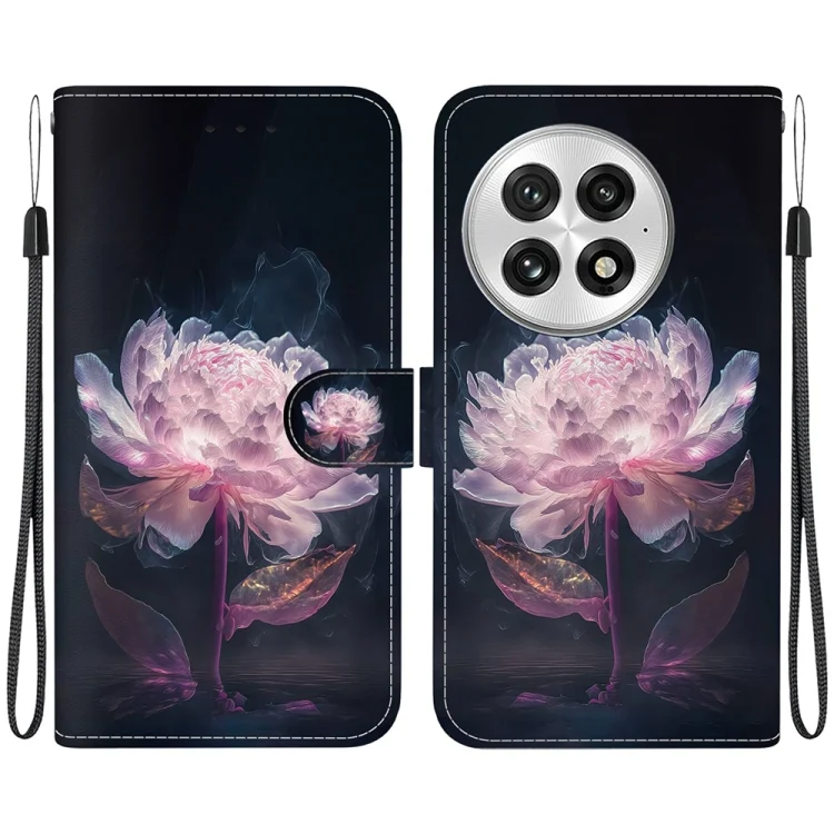 Crystal Texture Colored Drawing Leather Phone Case, For OnePlus 13