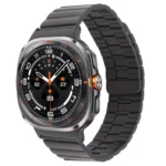 Bamboo Stainless Steel Magnetic Watch Band