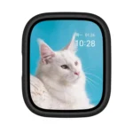 Tempered Film Integrated PC Watch Protective Case - Image 5