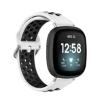 Two-Color Perforated Breathable Silicone Watch Band