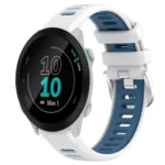 20mm Sports Two-Color Steel Buckle Silicone Watch Band
