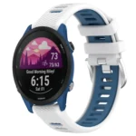 22mm Sports Two-Color Steel Buckle Silicone Watch Band