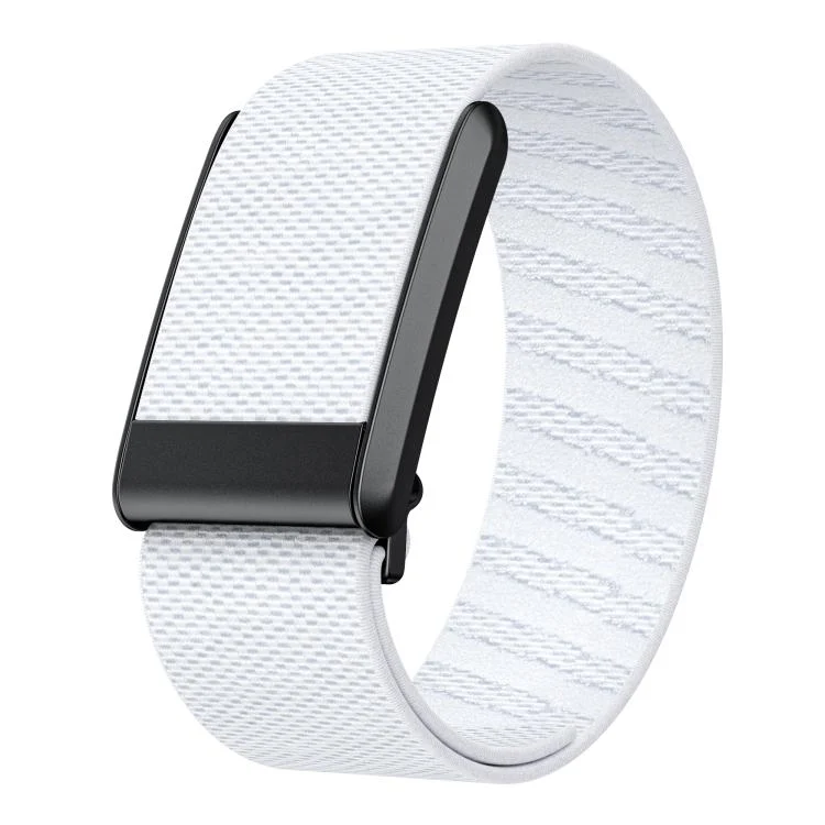 Elastic Force Decorative Design Nylon Watch Band