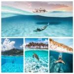 TELESIN 30M Waterproof Case Housing For GoPro Hero11 Black / HERO10 Black / HERO9 Black - Image 13