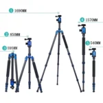 TRIOPO Oubao C-608S Adjustable Portable Carbon Fiber Tripod with Ball Head for SLR Camera - Image 4