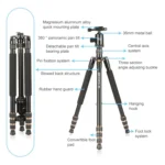 TRIOPO 554 Adjustable Portable  Aluminum Alloy Tripod with D-2A Ball Head for SLR Camera - Image 5