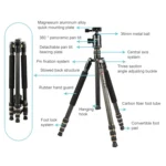 TRIOPO 853 Adjustable Portable Carbon Fiber Tripod with D2-A Ball Head for SLR Camera - Image 4