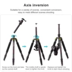 TRIOPO 853 Adjustable Portable Carbon Fiber Tripod with D2-A Ball Head for SLR Camera - Image 9
