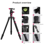 TRIOPO Oubao TA300 Adjustable Portable Aluminum Alloy Tripod with Ball Head for SLR Camera - Image 5