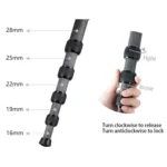 BEXIN P285-C Portable Travel Outdoor DSLR Camera Carbon Fiber Monopod Holder - Image 5