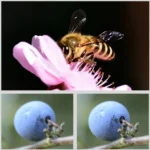 JSR Round Housing 5 in 1 UV+NIGHT+ND1000+ND64+16X Macro Lens Filter for GoPro HERO8 Black - Image 4