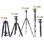 TRIOPO Oubao A-208S Adjustable Portable  Aluminum Alloy Tripod with Ball Head for SLR Camera - Image 2