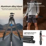 BEXIN TA255-BS30 Portable Collapsible Aluminum Alloy Camera Tripod with Head - Image 2