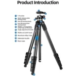 BEXIN TA255-BS30 Portable Collapsible Aluminum Alloy Camera Tripod with Head - Image 3