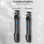 BEXIN TA255-BS30 Portable Collapsible Aluminum Alloy Camera Tripod with Head - Image 10