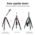 TRIOPO M2508 Multifunction Adjustable 4-Section Portable Aluminum Alloy Tripod Monopod with D-2A Ball Head for SLR Camera - Image 5