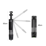 BEXIN W284C H36 Carbon Fiber Professional Photo Tripod for DSLR Camera - Image 4
