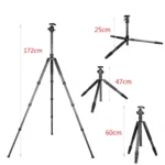 BEXIN W284C H36 Carbon Fiber Professional Photo Tripod for DSLR Camera - Image 5