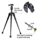 BEXIN MS03 Portable Aluminum Mini Travel Tripods for DSLR Camera Smart Mobile Phone - Image 4