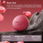 WEKOME WT-CA07 K-Captain Genuine Leather Solid Car Aroma Diffuser - Image 5