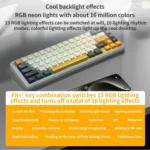 AULA F65 67 Keys 2.4G / BT / Wired Three Model RGB Gaske Mechanical Keyboard - Image 7