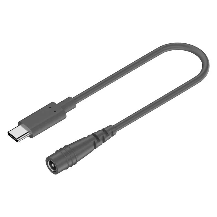 Type-C to DC 5.5x2.1mm 100W Computer Charging Adapter