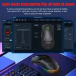 HXSJ T66 3 Modes Wired 2.4G BT5.3 Wireless RGB Rechargeable Mouse - Image 6