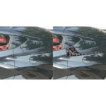 4pcs/Set Forged Gold Foil Carbon Fiber Car Rear Sides Decorative Sticker for Chevrolet Corvette C8 2020-, Left and Right Driver - Image 5