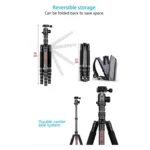 BEXIN BX255C K30 Portable Carbon Fiber Tripod for Camera Dslr - Image 4