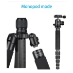 BEXIN BX255C K30 Portable Carbon Fiber Tripod for Camera Dslr - Image 6