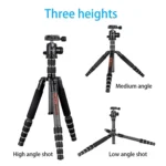 BEXIN BX255C K30 Portable Carbon Fiber Tripod for Camera Dslr - Image 9