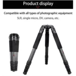 BEXIN ST364C Rugged Camcorder Photographic Carbon Fiber Big Tripod, Max Tube: 36mm - Image 3