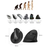 DELUX M618 Mini 2.4G Wireless 2400DPI USB Rechargeable Ergonomic Vertical Mouse - Image 12