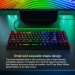 Razer BlackWidow V3 Tenkeyless RGB Lighting Wired Mechanical Keyboard, Competitive Version (Yellow Shaft) - Image 7
