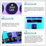 Chasing Leopard G21 USB 104-keys Waterproof Floating Round Punk Keycap Colorful Backlight Mechanical Feel Wired Keyboard, Length: 1.3m - Image 6