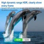 Mini DP1.4 8K 60Hz Male to Female DisplayPort Cable - Image 6