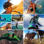 PULUZ Waterproof Carrying and Travel Case for GoPro, Insta360, DJI and Other Action Cameras Accessories, Large Size: 32cm x 22cm x 7cm - Image 11