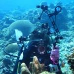 PULUZ Ball Clamp Close Hole Diving Camera Bracket CNC Aluminum Spring Flashlight Clamp for Diving Underwater Photography System - Image 7