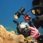 PULUZ Dual Ball Clamp Open Hole Diving Camera Bracket CNC Aluminum Spring Flashlight Clamp for Diving Underwater Photography System - Image 8