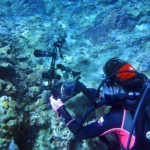 PULUZ 8 inch 20.3cm Aluminum Alloy Ball Arm for Underwater Torch / Video Light, Ball Diameter: 2.5cm - Image 7